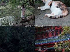 -灵谷景区