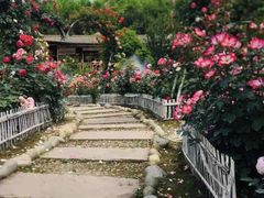 -玫瑰庄园·自助烧烤·烤全羊·团建拓展(龙泉山店)