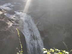 -九龙江国家森林公园