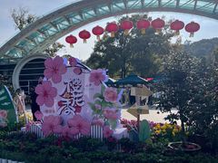 -南山植物园