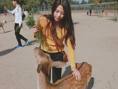 -北京麋鹿生态实验中心