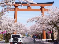 -帝京日语(春熙路旗舰校区)