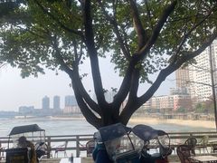 -平安桥张氏肥肠粉