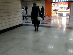 -上海科技馆(地铁站)