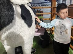 -呼和浩特市老牛儿童探索馆