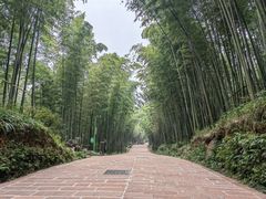 -蜀南竹海景区