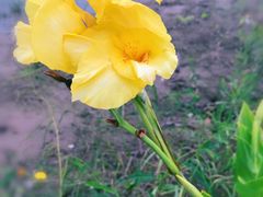 -春花秋色城市公园