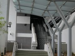-香港大学