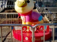 -北京植物园-展览温室