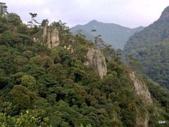 -广州市石门国家森林公园