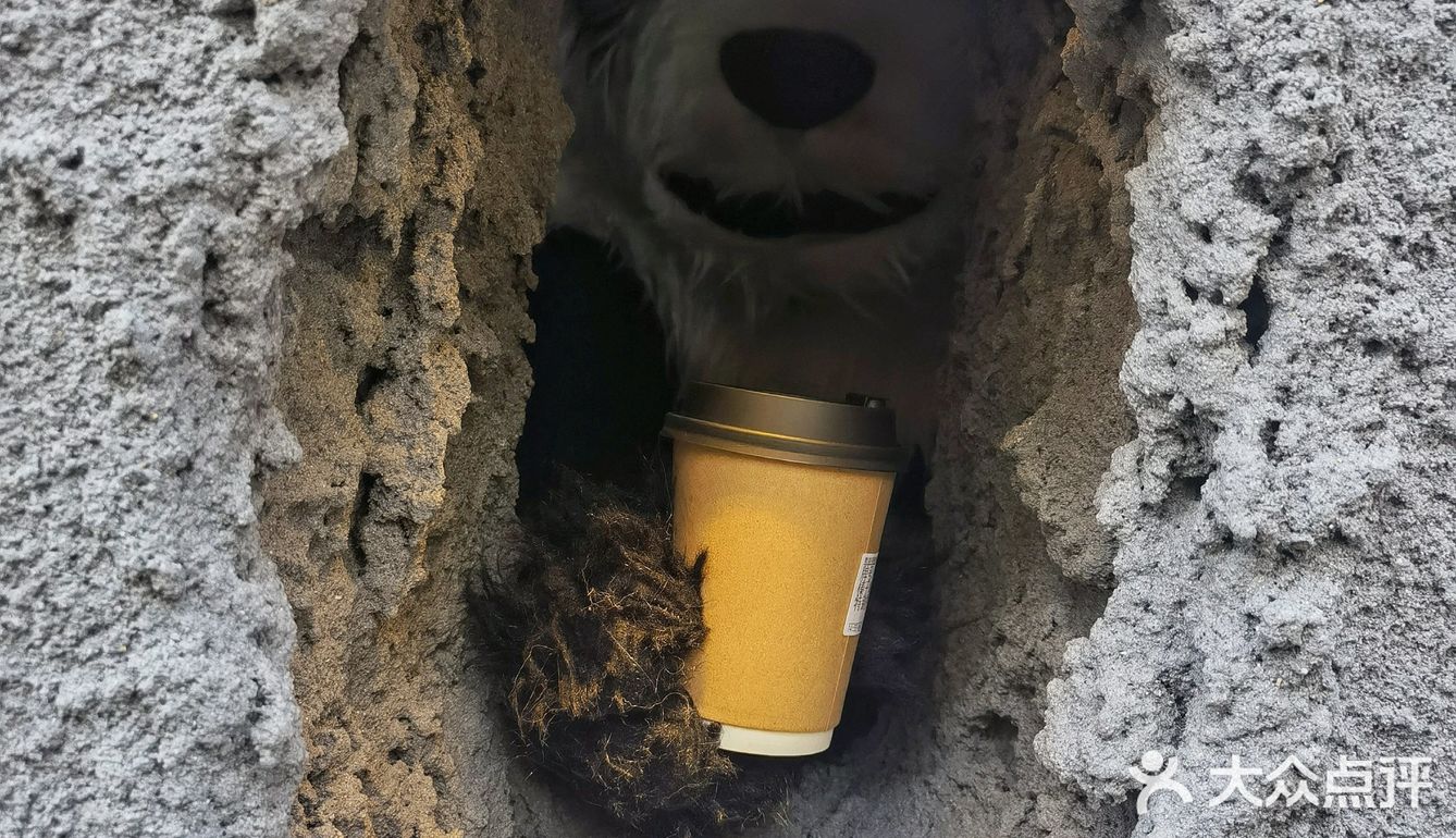 熊猫洞穴咖啡☕️