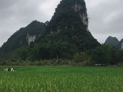 -靖西鹅泉风景区