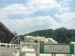 -观澜山水田园