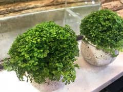 -星巴克(广州正佳广场4层店)