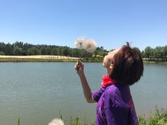 -东郊湿地公园