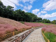 -牛岗山公园