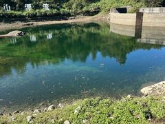 -萍乡武功山风景名胜区