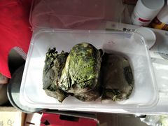 -叶婆婆豆浆馍馍
