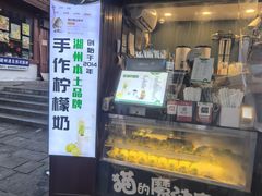 -猫的魔法密林(衣裳街店)