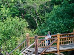 -九如山休闲旅游度假区