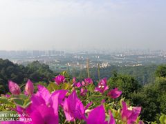 -火炉山森林公园
