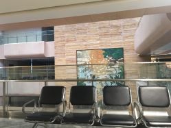 -福建省妇幼保健院(道山路院区)