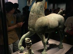 -广西壮族自治区博物馆