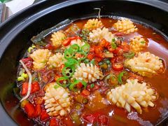 -老板恋上鱼(恒隆广场店)