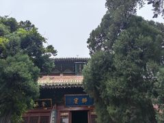 -洛阳白马寺