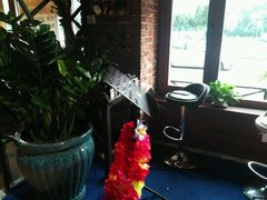 -酒座音乐主题串吧(滑翔西社区店)