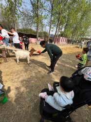 -上美四季动物农场