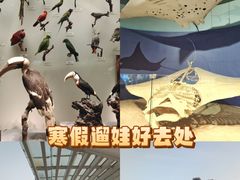 -天津自然博物馆