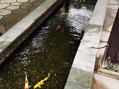 -融汇温泉