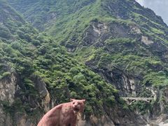 -丽江虎跳峡景区-售票处