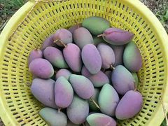 -五里多农博广场