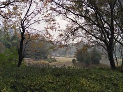 -东湖磨山景区