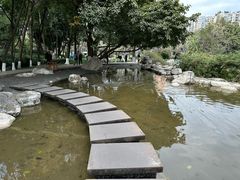 -神仙树公园