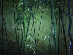 -法云安缦酒店