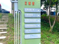 -传说中那条蛋散