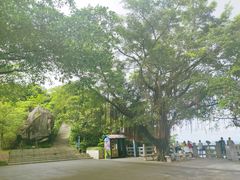 -广州市白云山风景名胜区
