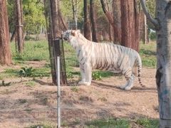-秦皇岛野生动物园