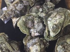 -大富蚝乌东哥饭店·石锅鱼杂·柠檬鸭(革新路店)