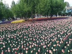 -长春公园(普阳街道)