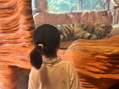 -长鹿旅游休博园