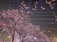 -西北湖绿化广场
