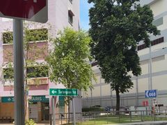 -小印度