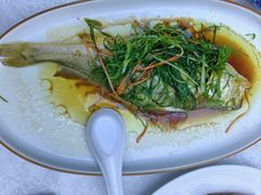 鼓汁蒸海鱼-东江海鲜大排档·潮汕菜·砂锅粥