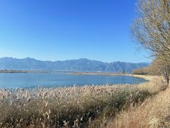 -野鸭湖国家湿地公园