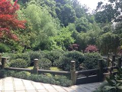 -十八棵（老龙井）御茶园(老龙井店)