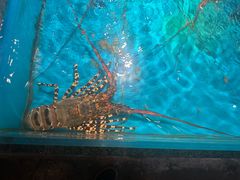 -拉完海鲜大排档(温岭店)